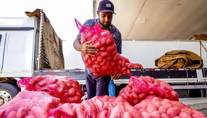  Conab aponta queda de preço da batata e alta da cebola e tomate 